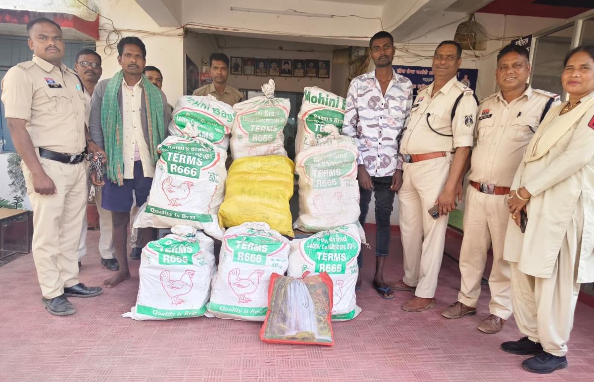 नशे के सौदागरों के खिलाफ छत्तीसगढ़ पुलिस की बड़ी कार्रवाई: ओडिशा में दबिश देकर दो अंतर्राज्यीय गांजा तस्करों को दबोचा, 51 लाख का माल बरामद