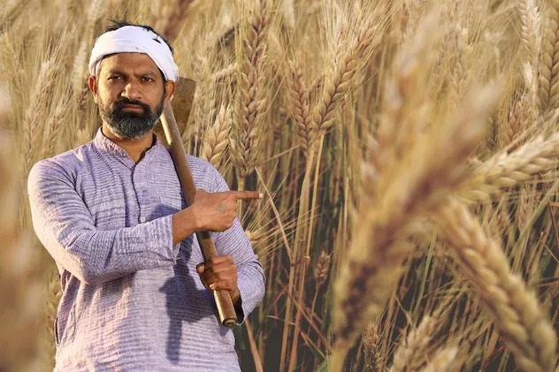 Rajasthan News: प्रदेश में 10 मार्च से शुरू होगी समर्थन मूल्य पर गेहूं की खरीद