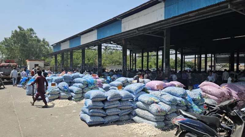 Rajasthan News: बारां के लहसुन को मिलेगा GI टैग, हाड़ौती की सफेद चांदी बनेगी ग्लोबल ब्रांड, किसानों की चमकेगी किस्मत