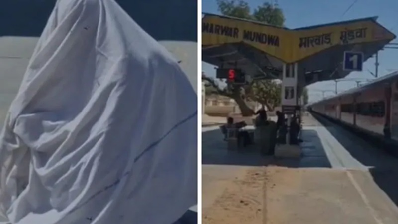 Rajasthan News: नागौर में रेलवे स्टेशन पर मची भगदड़! यात्रियों पर मधुमक्खियों का जानलेवा हमला