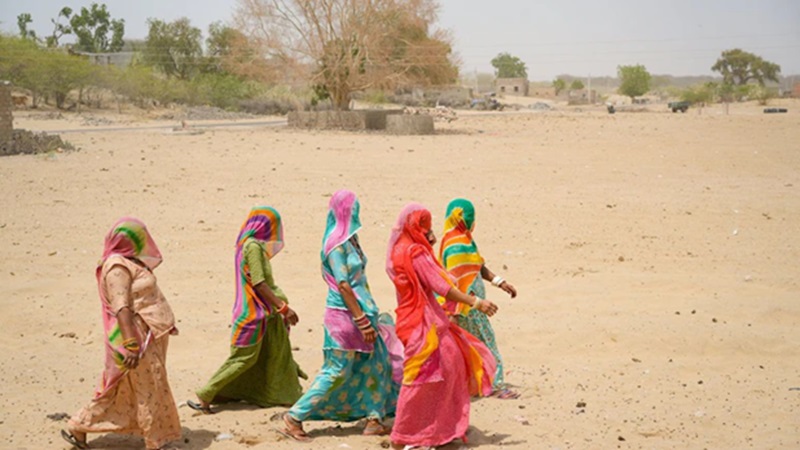 Rajasthan News: राजस्थान में अभी से बरपा गर्मी का कहर, 25 जिलों में येलो अलर्ट जारी