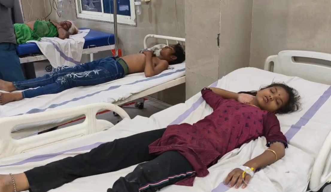 मधुमक्खियों ने मचाया आतंक: खेत पर बकरी चराने गए परिवार पर किया हमला, दो बच्चों समेत चार घायल, अस्पताल में इलाज जारी 