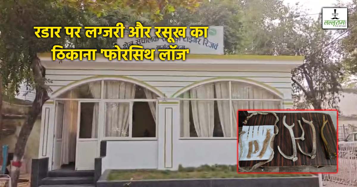 ‘वाइल्डलाइफ फील’ देने के चक्कर में ये क्या ? मढ़ई के ‘महल’ में वन्यजीवों की नुमाइश, 35 हजारी रिसॉर्ट में उड़ी कानून की धज्जियां!