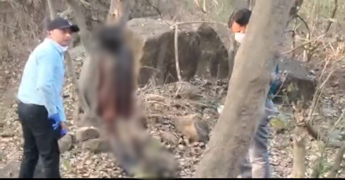 शहडोल के जंगल में मिला महिला का कंकालनुमा शव: 15 दिन पहले घर से निकली थी, 4 साल पहले पति की हो चुकी है मौत