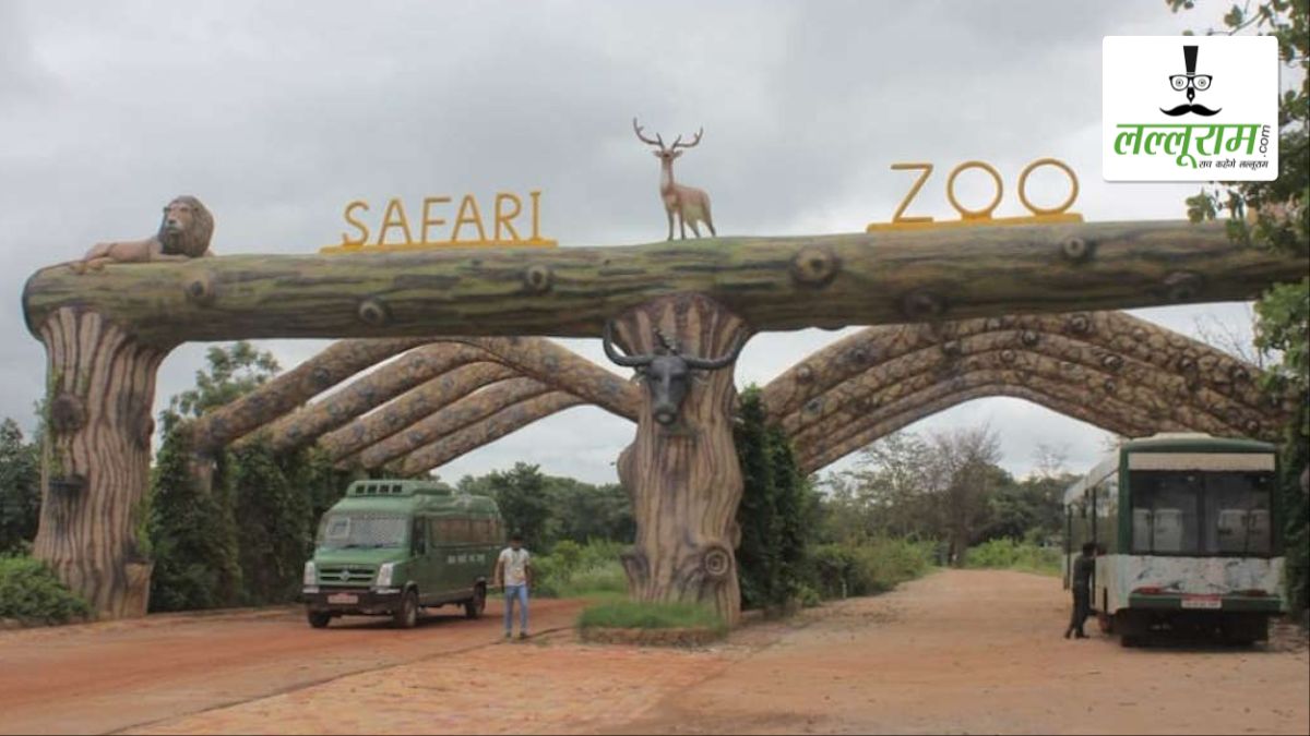 होली की छुट्टियों में जंगल सफारी घूमने का बना रहे हैं प्लान तो ध्यान दें! 3 मार्च से इतने दिनों के लिए बंद रहेगी पर्यटकों की एंट्री