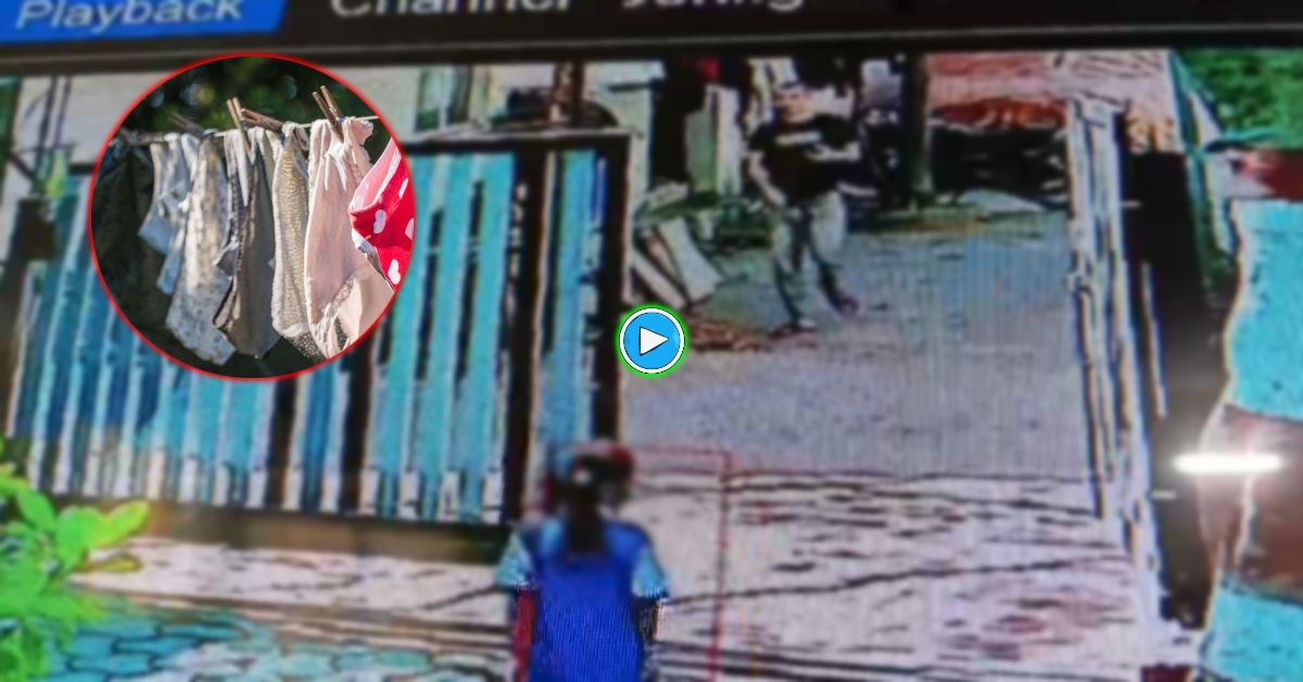 महिलाओं की अंडरगारमेंट चोरी: रुपये-जेवर छोड़ रस्सी पर सूख रहे इनर वियर लेकर फरार, CCTV में कैद हुआ चोर