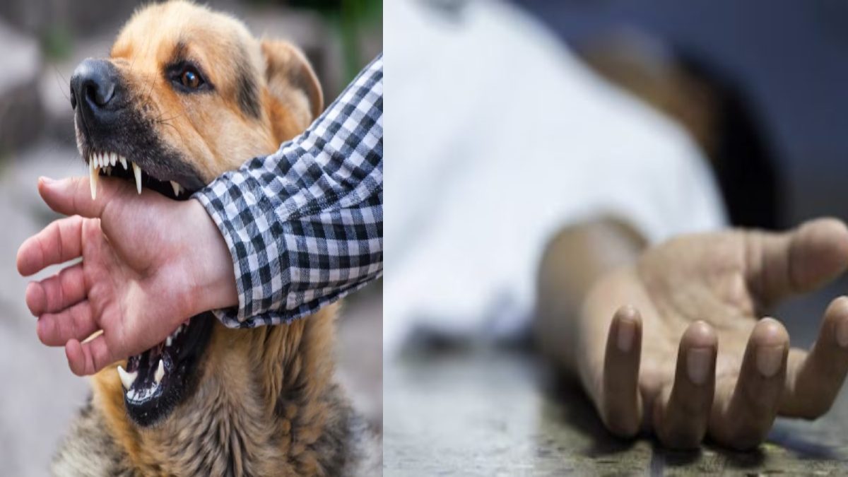 लापरवाही पड़ी भारी : कुत्ते के काटने के बाद कराते रहे जड़ी-बूटी से इलाज, पांच महीने बाद रेबीज से मौत