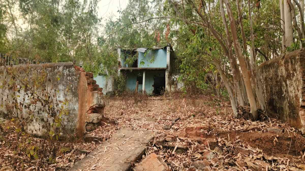 शादी का दबाव बना रही थी गर्लफ्रेंड, मौका पाकर खंडहर ले गया बॉयफ्रेंड, पत्थर से सिर कुचलकर की हत्या