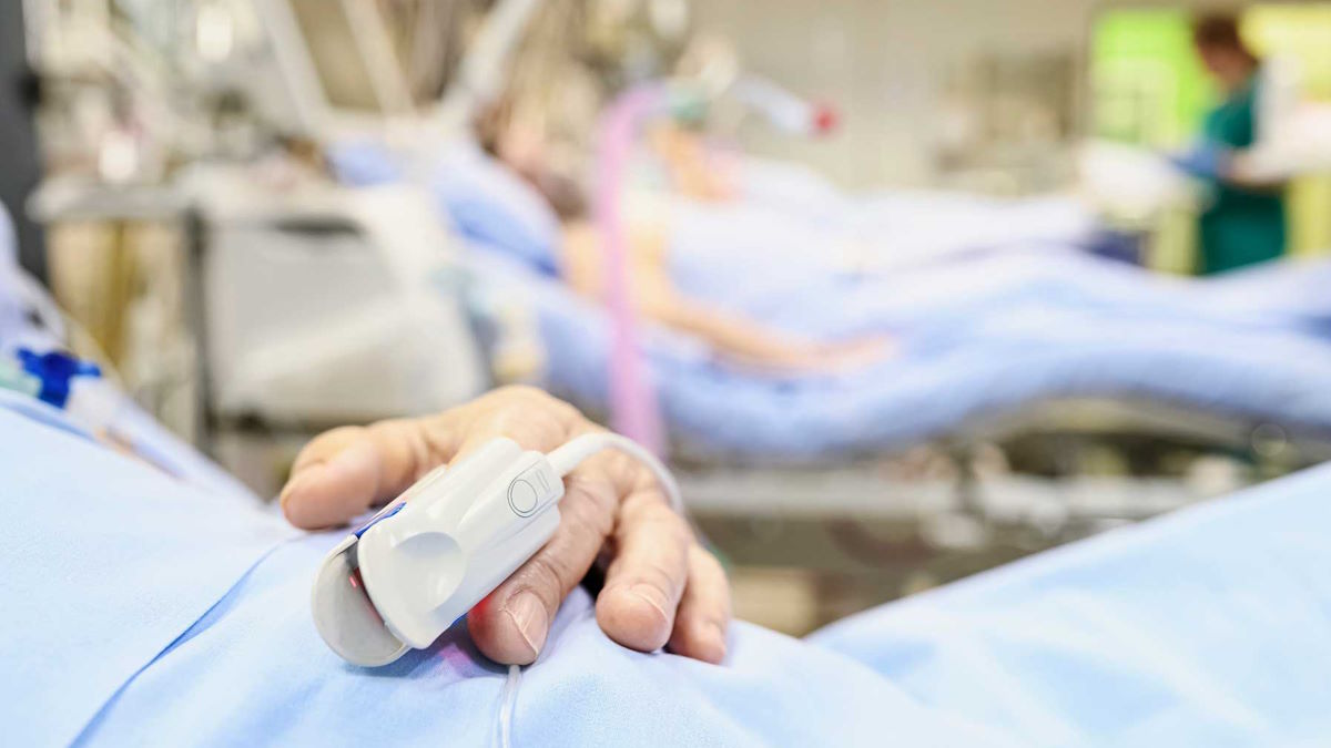 श्री कृष्णा सॉल्वेंट प्लांट में खौफनाक वारदात, मामूली विवाद पर सहकर्मी के पेट में एयर ब्लोअर से भरी हवा, हालत गंभीर…