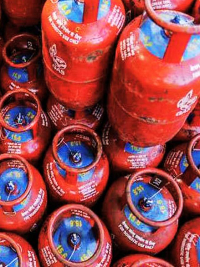 एक किलो PNG या LPG… किसमें कितने दिन बनता है खाना, कौन है ज्यादा किफायती?