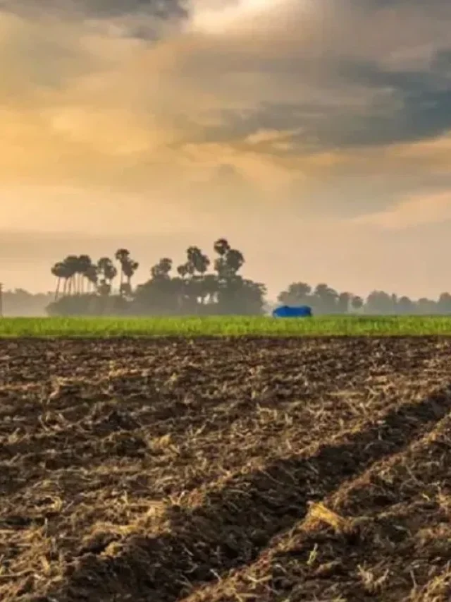 क्या किसी भी देश को अपनी जमीन दान कर सकते हैं भारत के लोग, जानें नियम