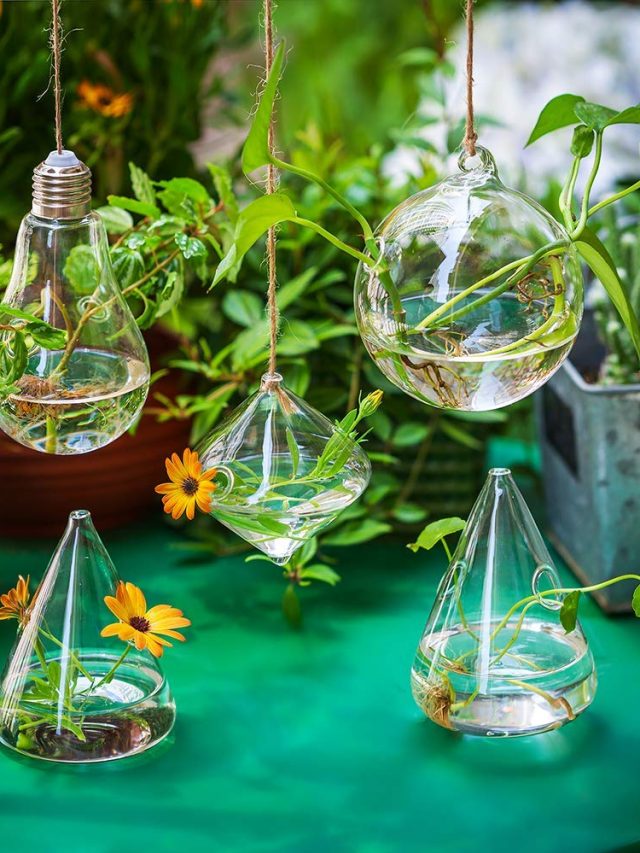 लग्जरी और मॉर्डन लुक के लिए बालकनी और बेडरूम में लगाएं ये 5 वॉल हैंगिग प्लांटर