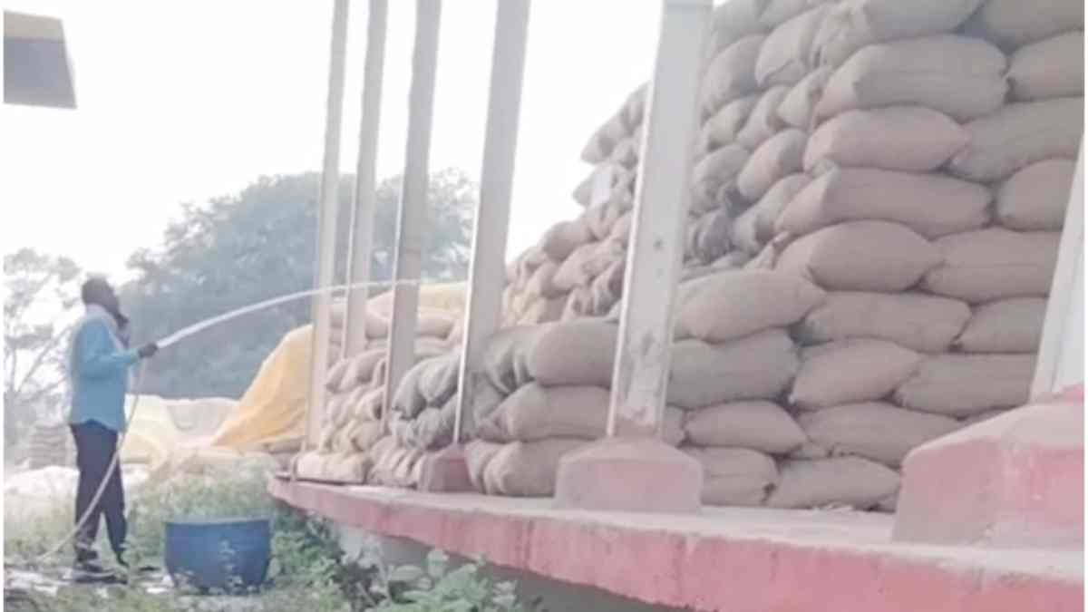 सहकारी समिति में धान की बोरियों में पानी डाल रहे कर्मचारी, वीडियो वायरल होने से मचा हड़कंप