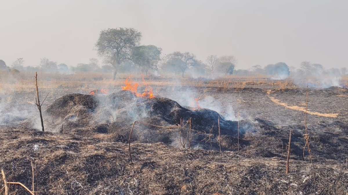 किसानों के खेतों में लगी भीषण आग, 400-500 एकड़ की फसल जलकर खाक, देखें VIDEO…