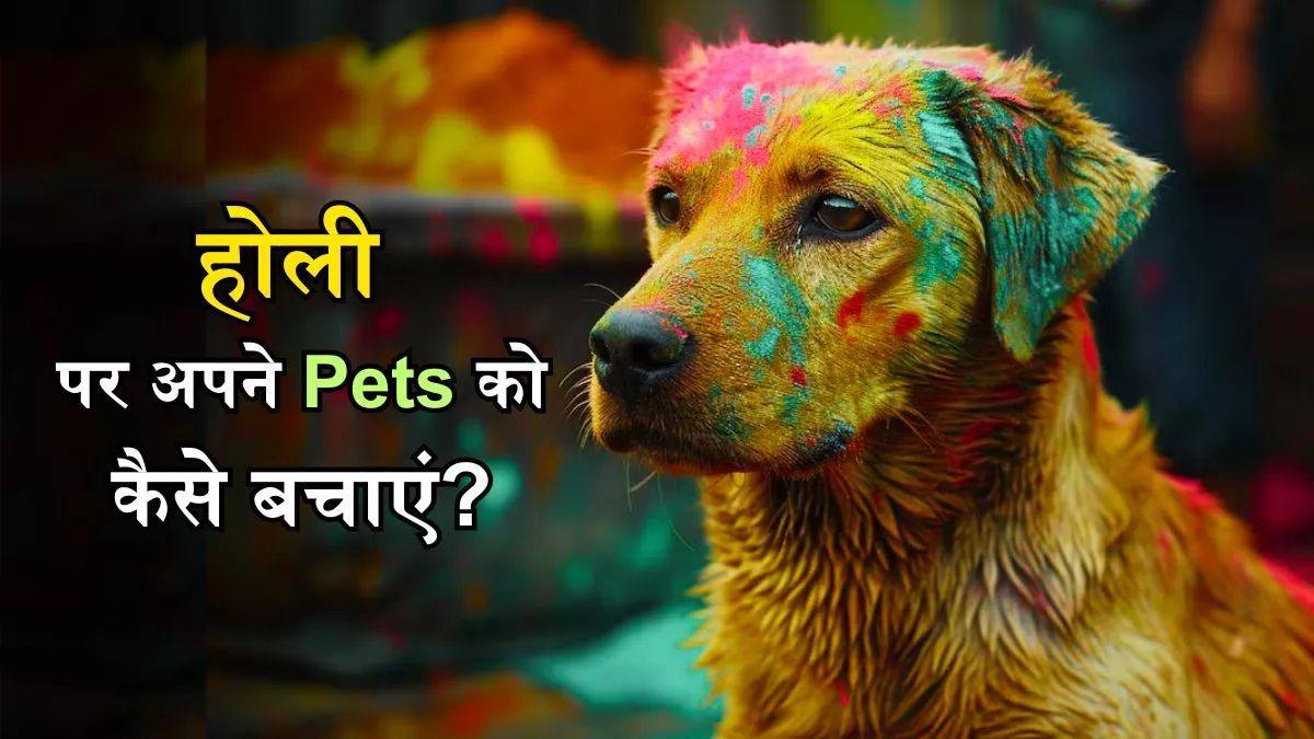 Holi 2026 : होली के एंजॉयमेंट में न भूलें अपने पेट्स का ख्याल, उन्हें रंगों से इस तरह रखें सुरक्षित …