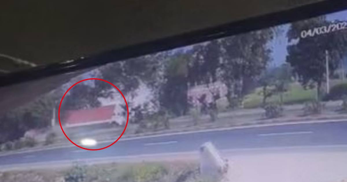 हाइवे, हादसा और हड़कंपः बीच सड़क अनियंत्रित होकर पलटा तेज रफ्तार कंटेनर, परिचालक की मौत, दिल दहला देने वाला VIDEO वायरल