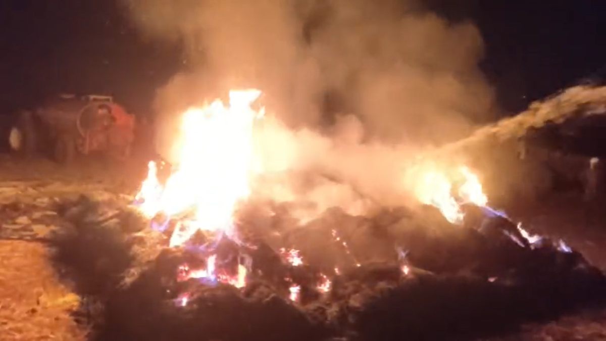 भीषण आग से किसान की मेहनत राखः 8 एकड़ गेहूं की फसल जलकर खाक, लाखों का नुकसान