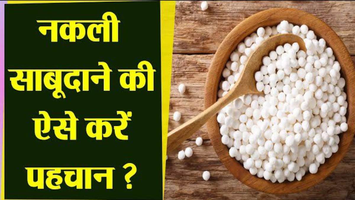 Chaitra Navratri 2026 : कहीं आप भी तो नहीं खा रहे उपवास में नकली साबूदाना, यहाँ जाने कैसे करें मिलावटी साबूदाना की पहचान …