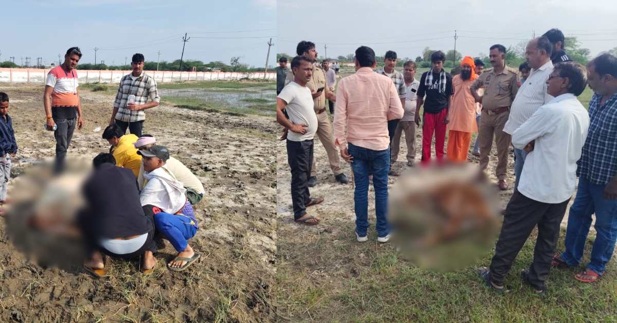 आगरा में 18 गायों की मौत, चारा खाने के बाद मुंह से निकलने लगा झाग, एक एक कर गिरते रहे मवेशी, अलर्ट मोड पर प्रशासन
