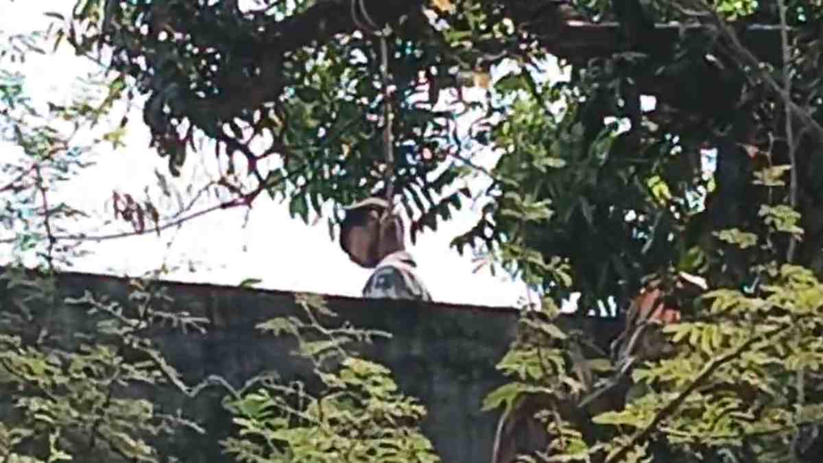 CG News : 9वीं के छात्र ने की आत्महत्या, आम के पेड़ पर फांसी के फंदे से लटका मिला शव