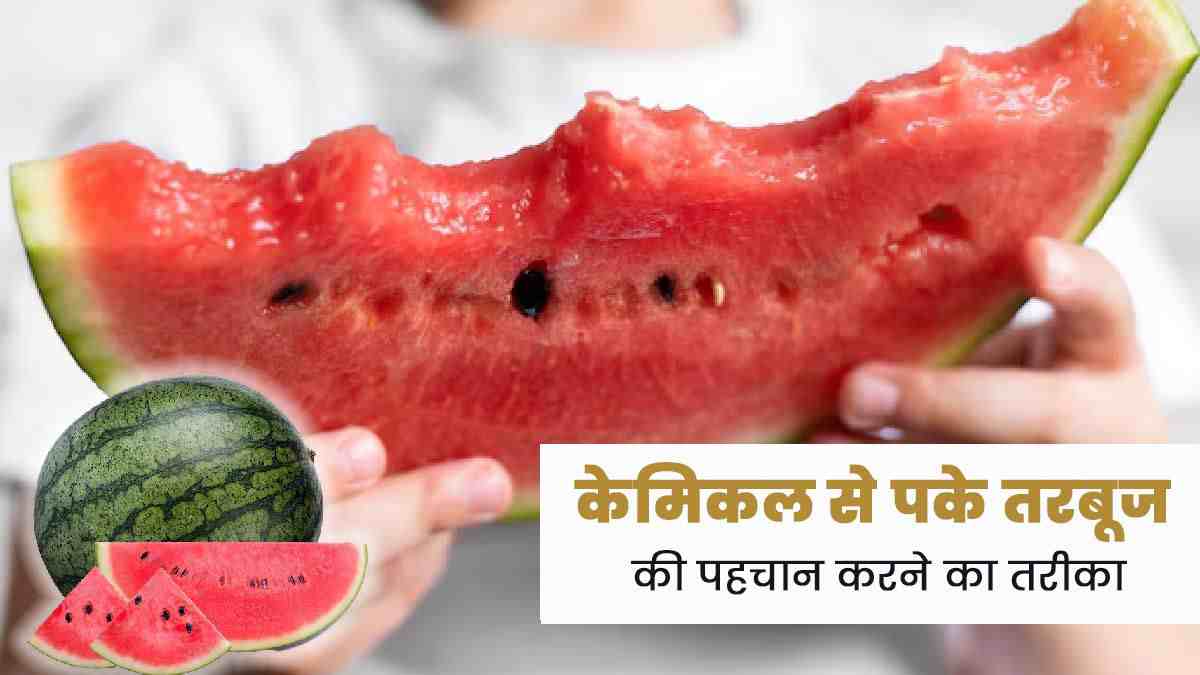 कहीं आप भी तो नहीं खा रहे कैमिकल में पका हुआ तरबूज? इस तरह करें पहचान…