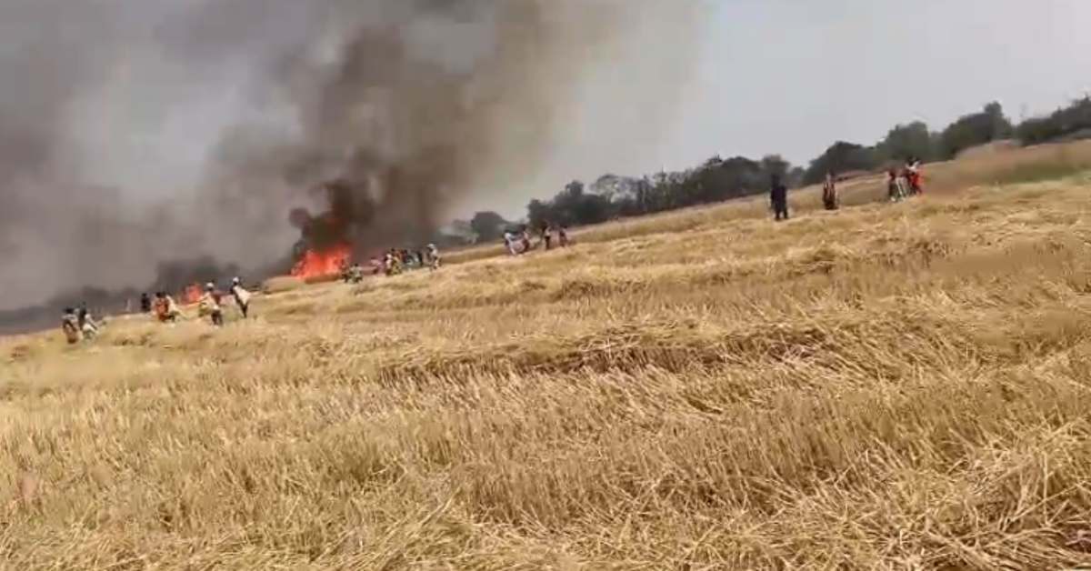 मिट्टी में मिल गई मेहनतः 50 बीघा गेहूं की खड़ी फसल जलकर खाक, एक गलती ने सब कुछ कर दिया बर्बाद!