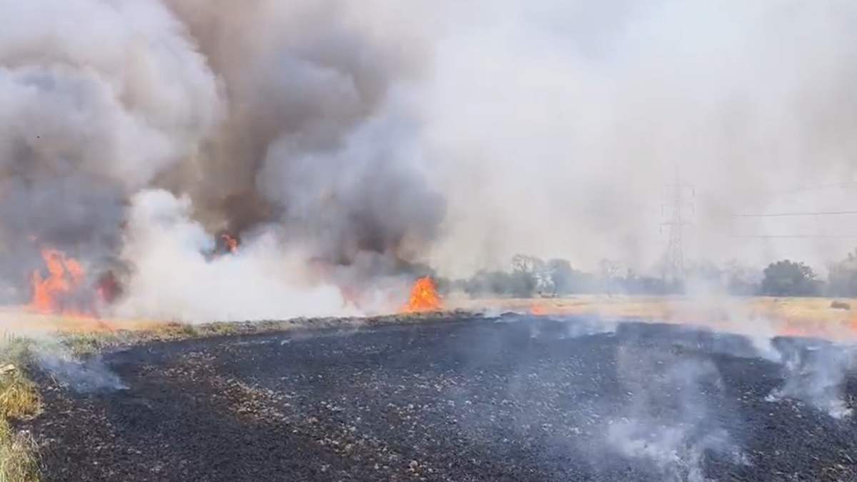 खेतों में भीषण आग VIDEO : 10-15 एकड़ गेहूं-सरसों की खड़ी फसल जलकर खाक, किसानों को भारी नुकसान