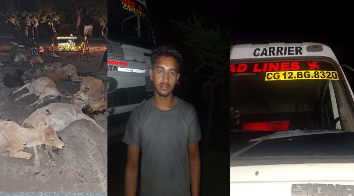 सड़क हादसा : तेज रफ्तार हाईवा वाहन ने 12 गौवंशों को कुचला, चालक के खिलाफ मामला दर्ज