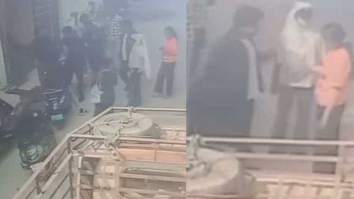 डॉग रेस्क्यू संस्था की आड़ में गुंडागर्दी : बीच सड़क गर्भवती महिला से की मारपीट, आरोपियों के खिलाफ FIR दर्ज