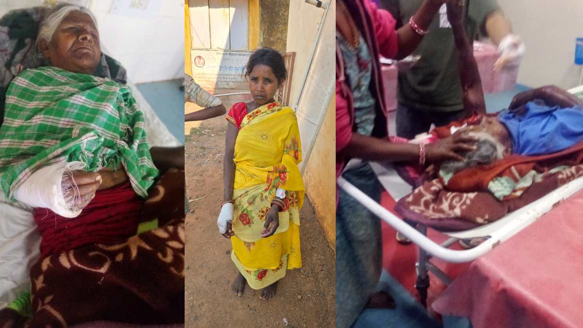 बस्तर में तेंदुए का हमला या कुछ और? तीन ग्रामीण घायल, जांच में जुटा वन विभाग
