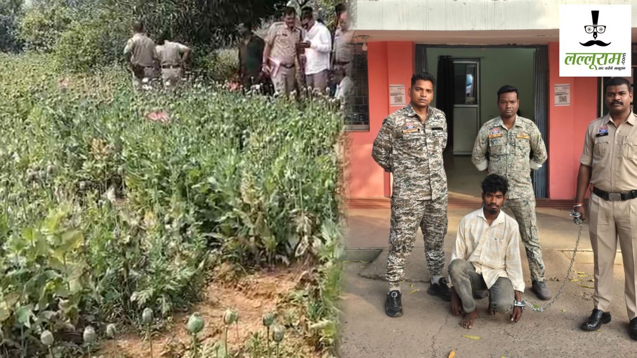 आमाघाट अफीम खेती मामला : पुलिस ने झारखंड से एक और आरोपी को किया गिरफ्तार