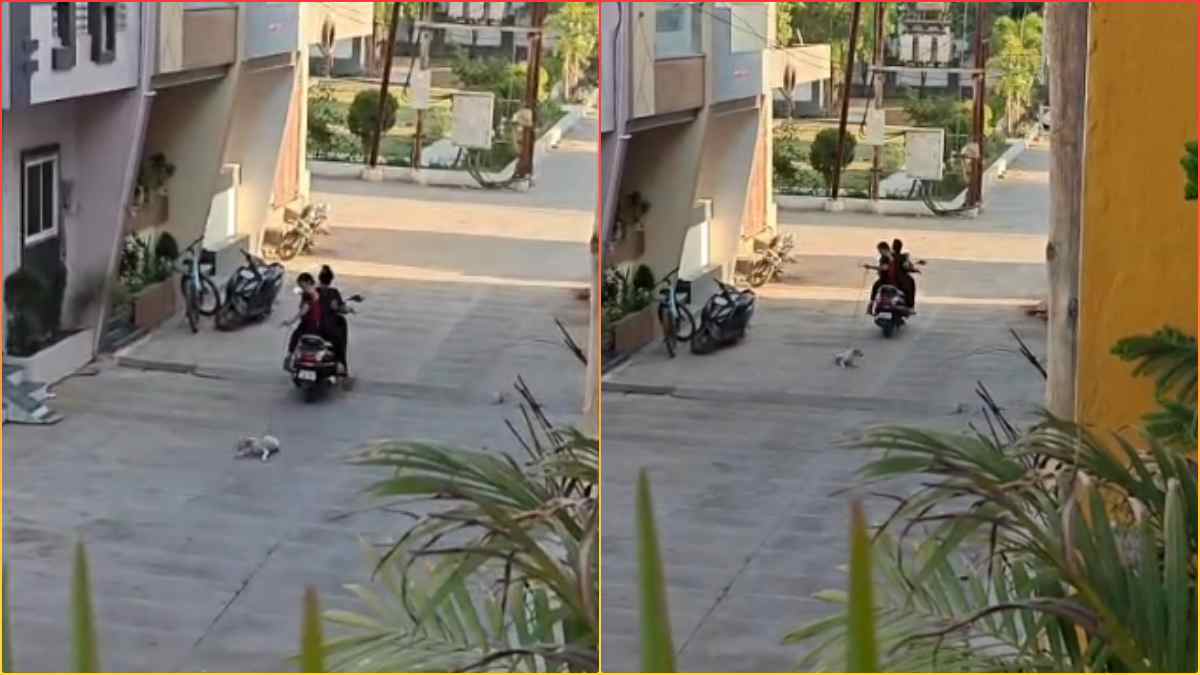 हैवानियत की हद है… घर के सामने गंदगी करने पर भड़की महिलाएं, डॉग के बच्चे को स्कूटी से बांधकर घसीटा