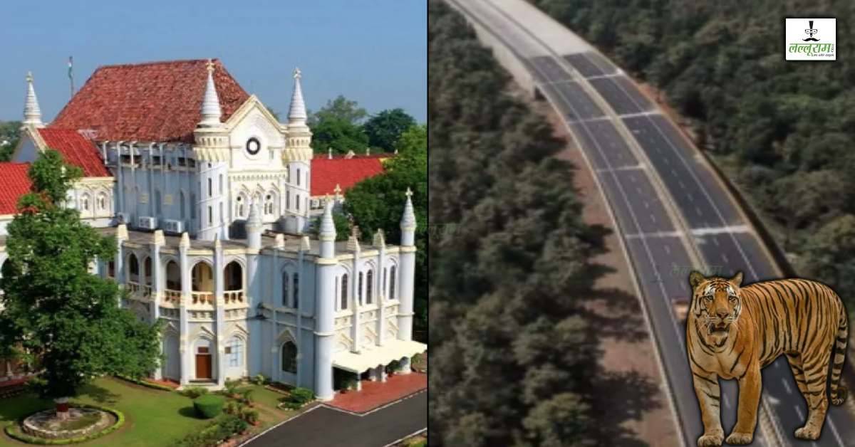 सतपुड़ा-मेलघाट टाइगर कॉरिडोर को लेकर हाईकोर्ट सख्त: NHAI के निर्माण पर रोक, कहा- बाघों का अपना GPS होता है, NTCA के अफसरों को हाजिर होने के निर्देश