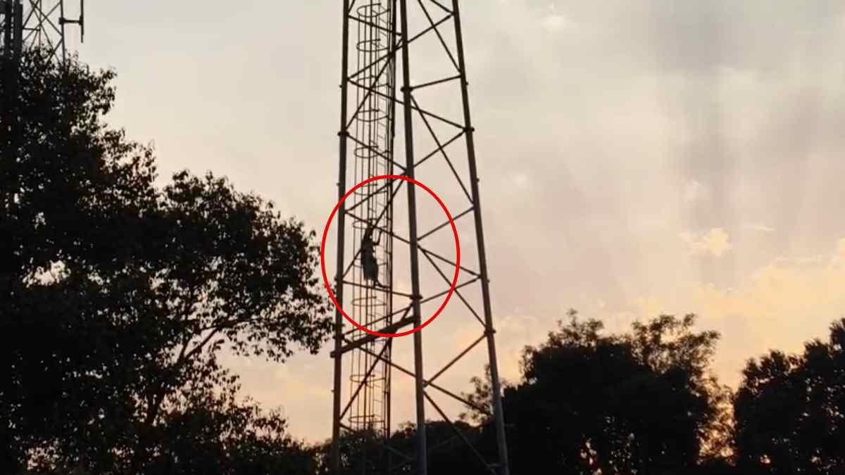 मोबाइल टावर पर चढ़ी महिलाएं, घर गिराने से थीं नाराज, मचा हड़कंप