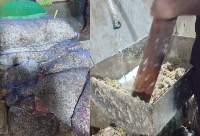 हैदराबाद में मिलावटी अदरक-लहसुन पेस्ट सप्लाई करने वाले गिरोह भांडा फोड़, 4032KG माल जब्त; ₹22 लाख की मशीनरी भी सील