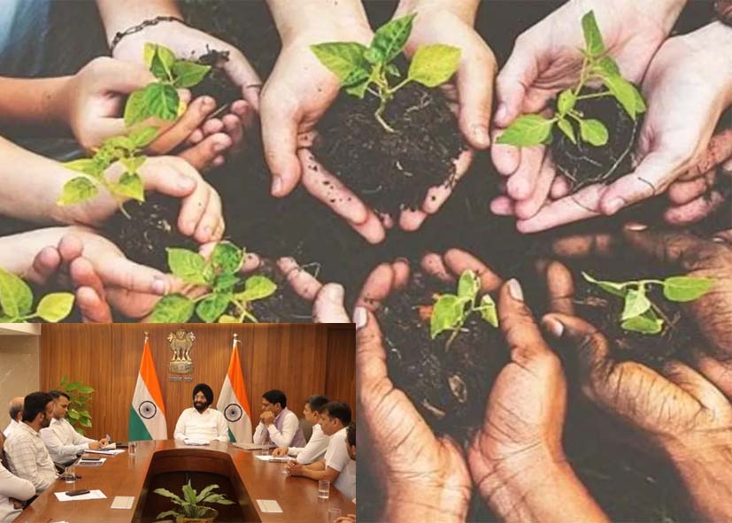 ग्रीन एक्शन प्लान से दिल्ली को और हरा-भरा बनाने की तैयारी, 22 विभाग मिलकर लगाएंगे 70.05 लाख से अधिक पेड़-पौधे