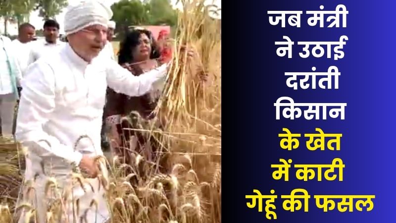 खेतों में उतरे हरियाणा के सहकारिता मंत्री: पत्नी के साथ की गेहूं की कटाई, किसानों को दिया खास संदेश