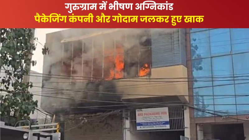 गुरुग्राम में भीषण अग्निकांड: पैकेजिंग कंपनी और गोदाम जलकर हुए खाक, धू-धू कर जला लाखों का कीमती माल