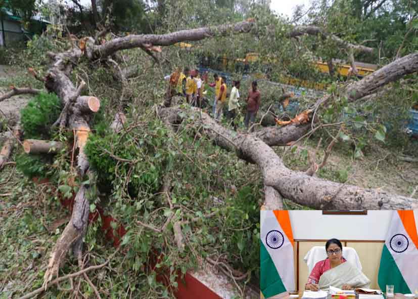 दिल्ली में पेड़ों की सुरक्षा के लिए रेखा गुप्ता सरकार सख्त, अब शिकायत मिलते ही होगा तुरंत एक्शन