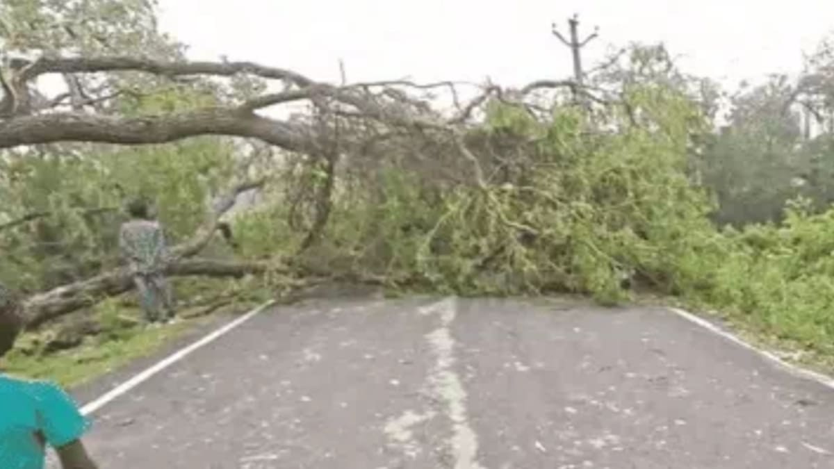 सुपौल-खगड़िया में आंधी से तबाही, पेड़ गिरे-घर टूटे, 3 जिलों में बारिश और वज्रपात का अलर्ट