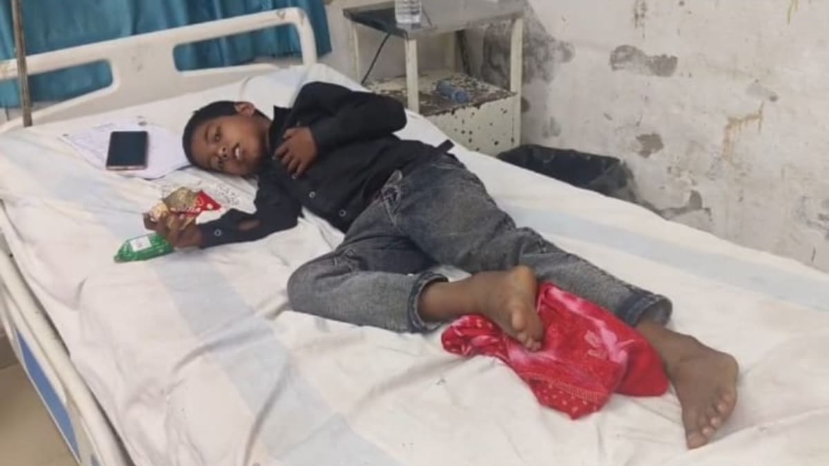 मासूम बच्चे समेत 5 को सांप ने डसा, कोई जिंदा तो कोई मरा हुआ सांप लेकर पहुंचा अस्पताल