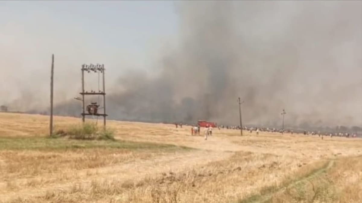 खून-पसीने की मेहनत हुई स्वाहा, धू-धू कर जली सौ बीघा गेहूं की फसल, लाखों का नुकसान