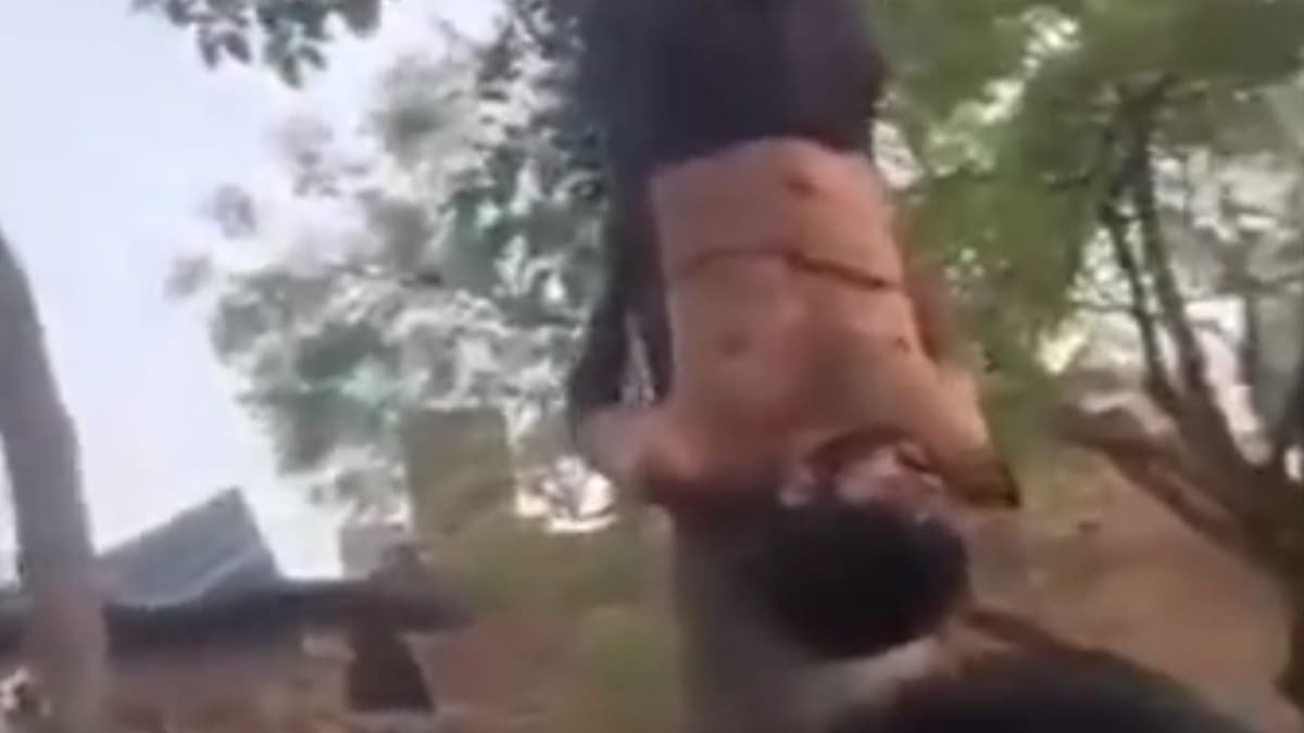 बक्सर में तालिबानी क्रूरता, युवक को पेड़ से उल्टा लटकाकर रॉड से पीटा, शरीर पर डाली मिर्च, 17 पर FIR, 6 गिरफ्तार