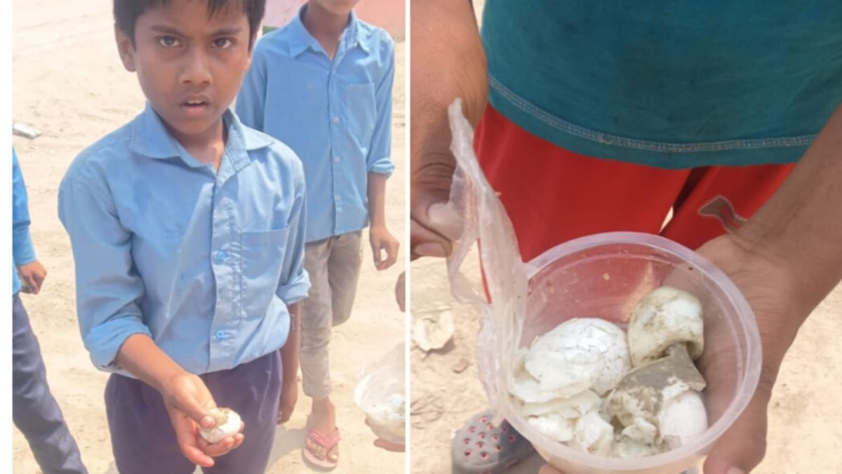 ​नौनिहालों की सेहत से खिलवाड़! मोतिहारी के स्कूल में कीड़े वाला अंडा मिलने से हड़कंप, फर्जी हाजिरी का भी बड़ा खेल