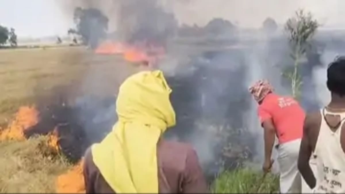 शॉर्ट सर्किट से 50 बीघे में खड़ी गेहूं की फसल जलकर राख, मुआवजे की मांग