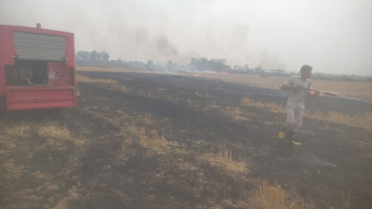 एक चिंगारी और सब बर्बाद! ​खून-पसीने की कमाई हुई खाक, अस्थावां में धूं-धूं कर जली किसानों की मेहनत