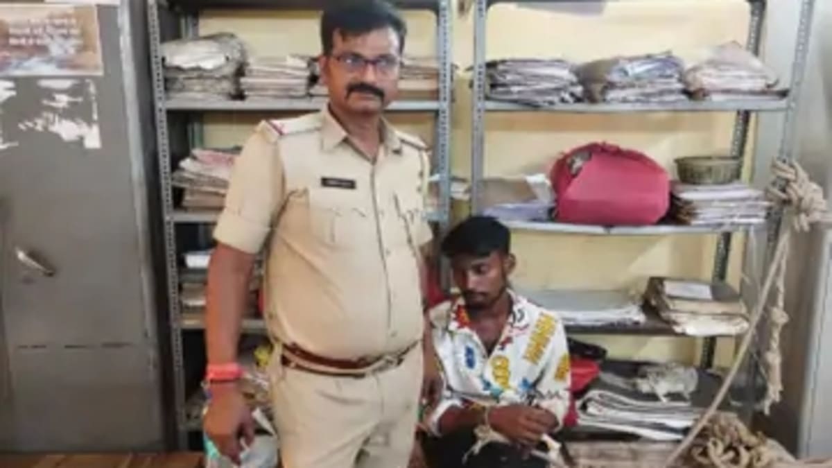 रिटायर्ड सूबेदार से छीना मोबाइल, बचाने आए बुजुर्ग को स्नैचर ने रौंदा, हालत गंभीर