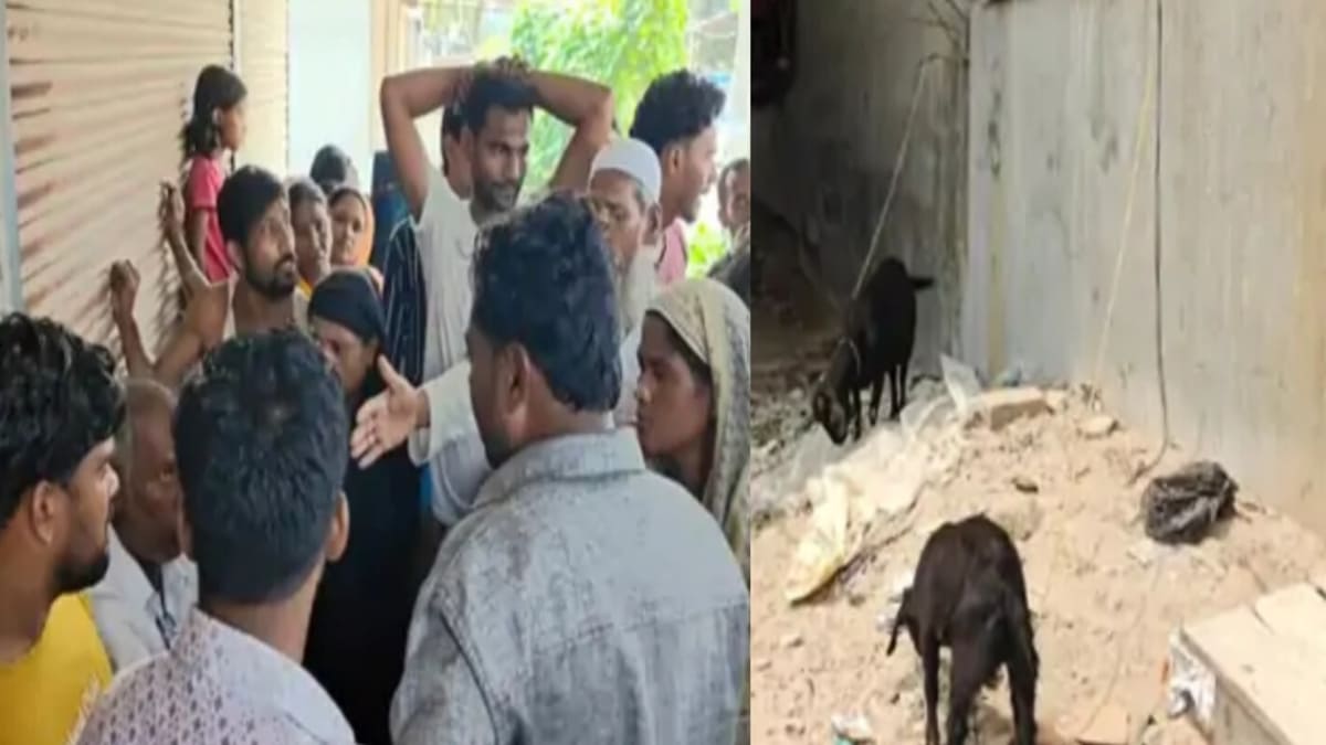 आंगन से बकरी चुराना पड़ा महंगा, नाबालिग समेत दो शातिर पुलिस की गिरफ्त में