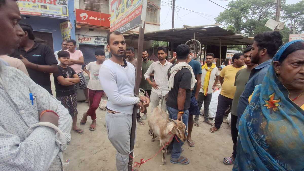 नशे की लत ने बना दिया चोर! रिटायर्ड अधिकारी का बेटा बकरी चुराते धराया, भीड़ ने दी सजा