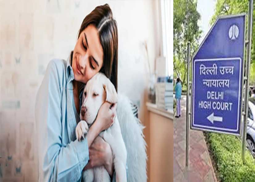 पालतू जानवरों की कस्टडी पर दिल्ली हाई कोर्ट का अहम फैसला: भावनात्मक रिश्तों को मिली प्राथमिकता